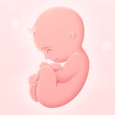 나의 임신 - 임신 주수 - Google Play 앱
